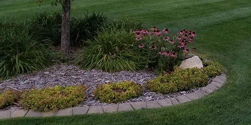 New mulch installed in a landscape bed.