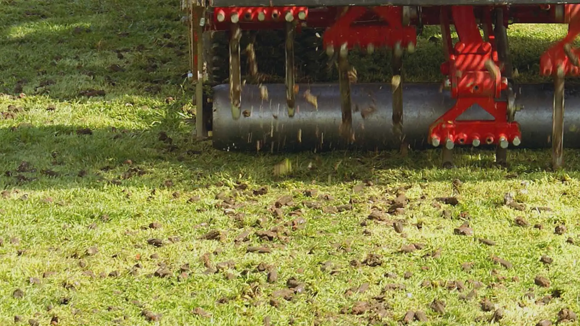 Our team aerating a lawn in Sauk Rapids.