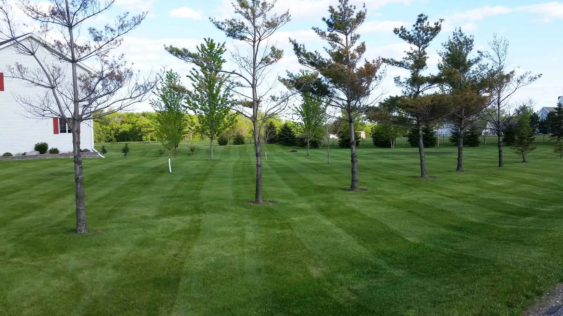 Residential property in St. Cloud with our lawn care services.