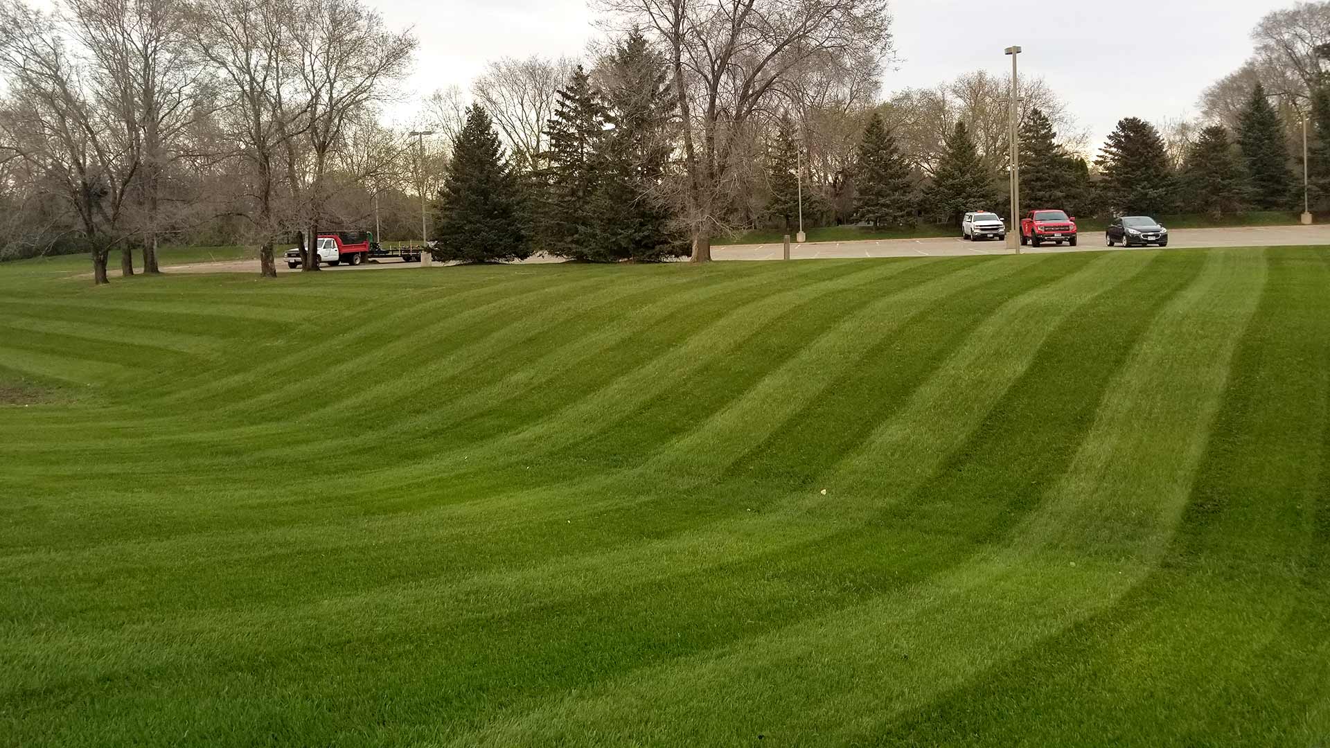 Weed-free lawn at a property in St. Cloud, Minnesota.