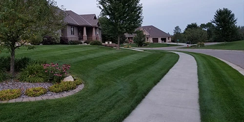 Yard in Sauk Rapids, MN that is deep green from fertilization.