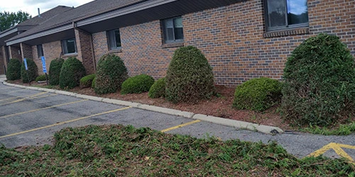 Landscape trimming at a Sartell business.