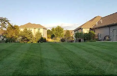 Contact Info For Sunset Mowing, (320) 293-1625