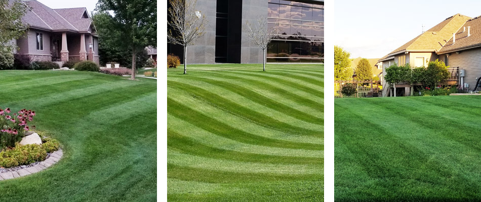 4 Must-Dos for a Perfect Lawn in 2019