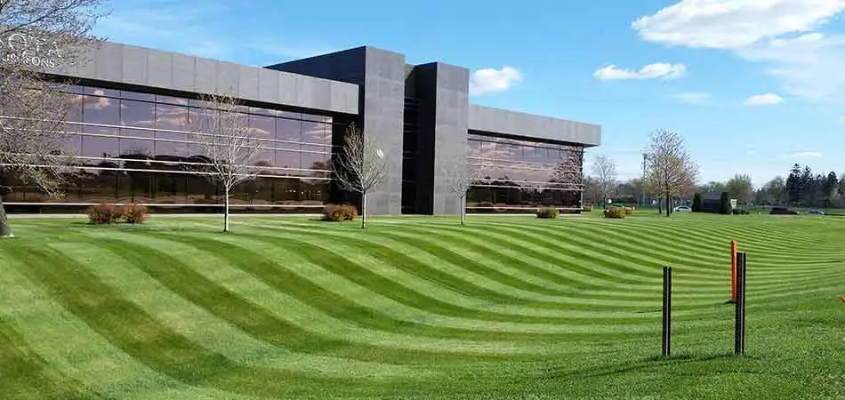 A commercial lawn with mowing stripes in St. Cloud, MN.