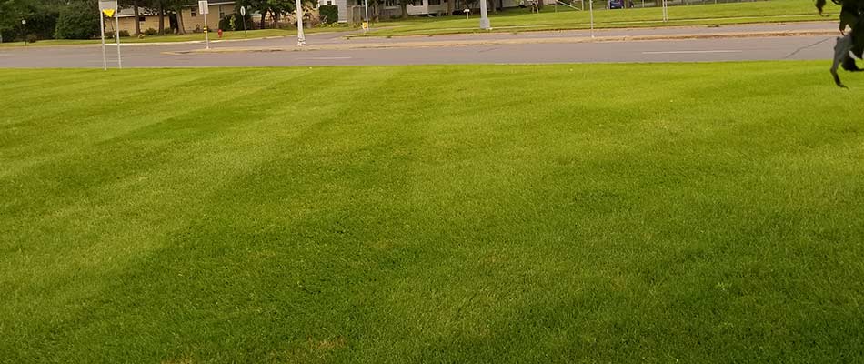 Commercial lot with lawn mowing services in Sartell, MN.