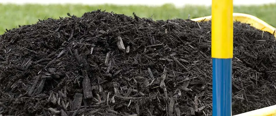 Dark mulch and a shovel in St. Cloud, MN.