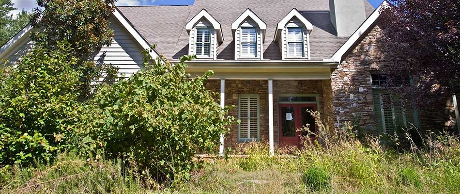 Why Your Grass & Property Suffers Without Regular Mowing