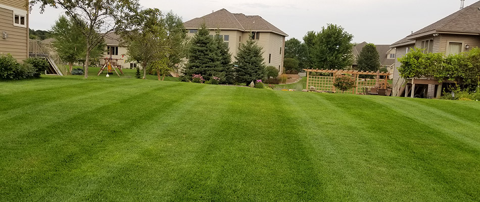 Does the Proper Mowing Height Really Matter?