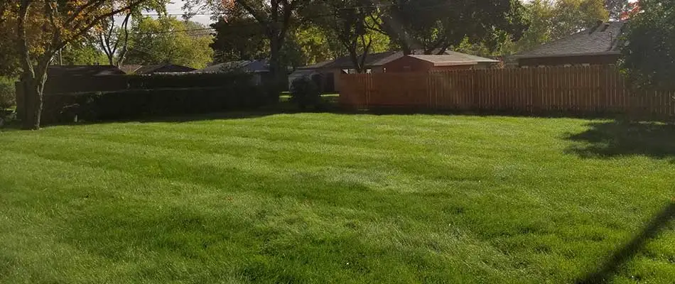 Maintained residential lawn in Waite Park, MN.