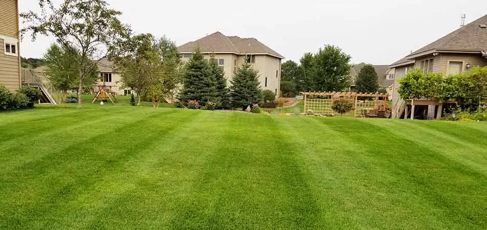 Lawn Care Schedule in Sauk Rapids, Minnesota