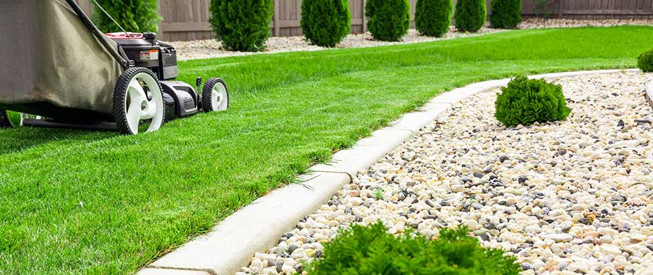 Why You Need to Hire Someone to Mow While You're on Vacation