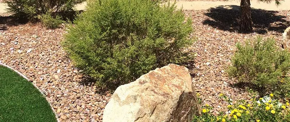 Landscape bed with rock mulch in Sauk Rapids, MN.