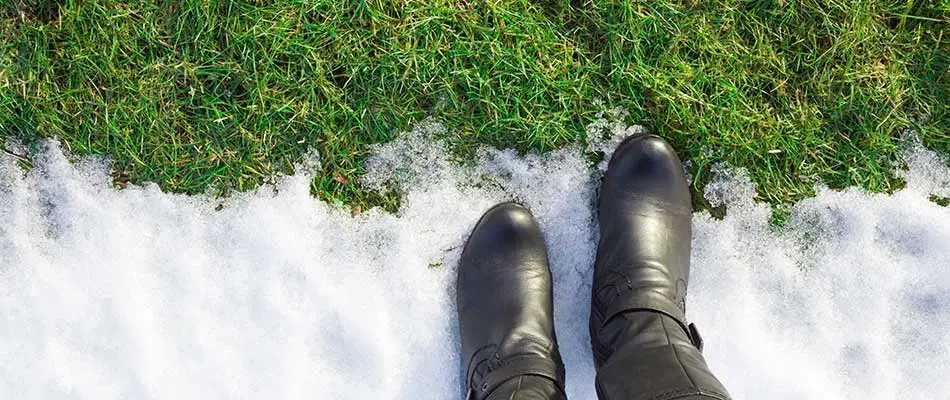 3 Landscaping Tips for the Snowy Season