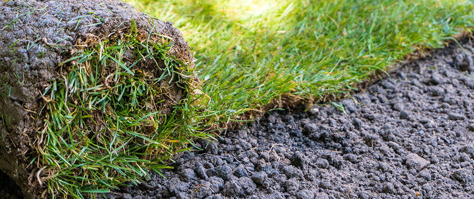 A sod installation in a St. Cloud lawn will give the property owner an instantly green lawn.