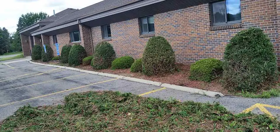 A Commercial property in St. Cloud that is receiving trimming and pruning services from us.