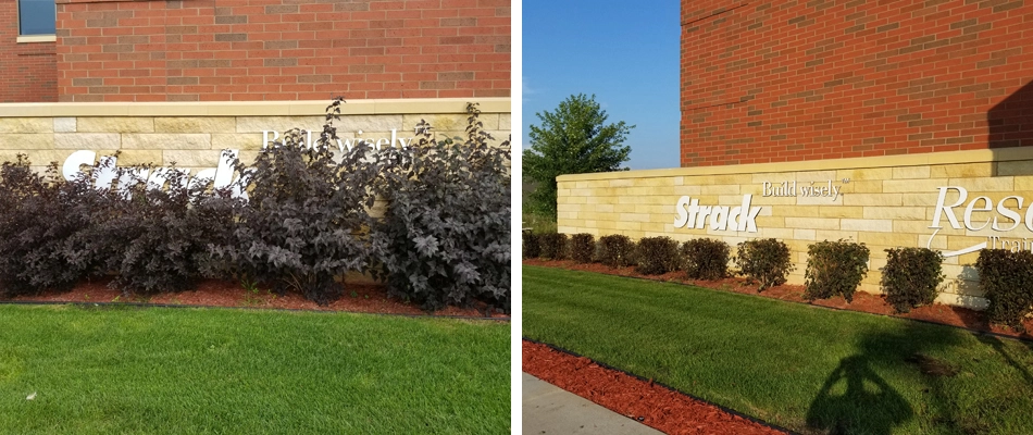 A before and after photo of bush trimming in front of a building in Sartell, MN.
