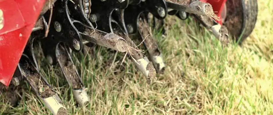 Close up photo of our aeration equipment servicing a lawn in Sauk Rapids.