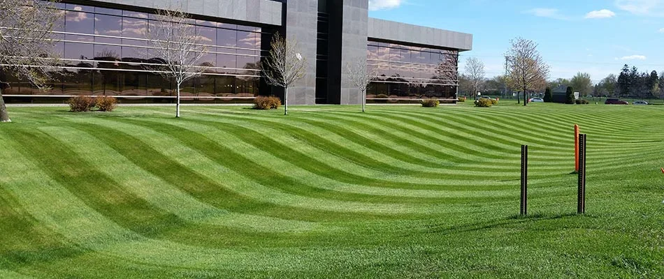 Commercial property in Sauk Rapids, MN with mowing stripes.