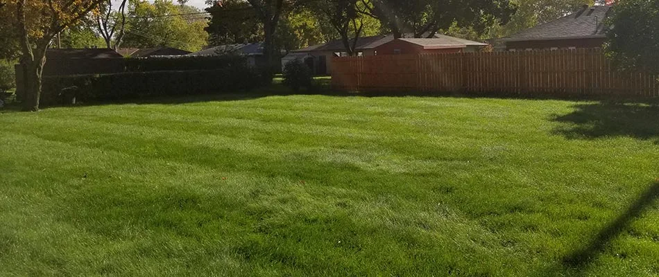 Fertilized grass that receives regular treatments in St. Cloud, MN.