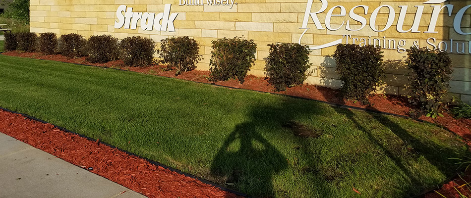 A newly mulched commercial property in the Waite Park, MN area.
