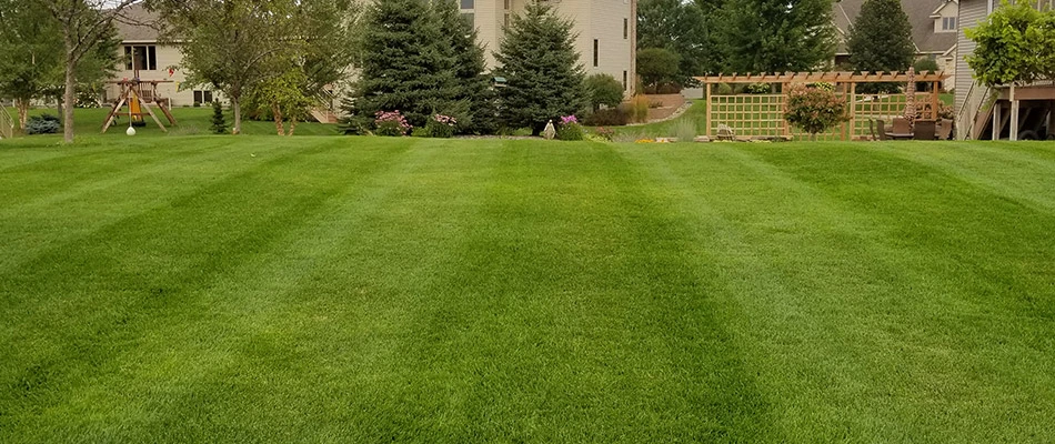 A perfect lawn in St. Cloud, MN.