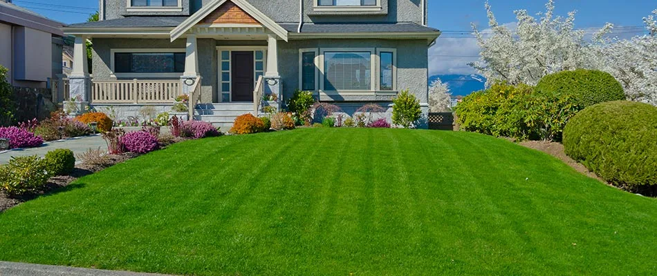Recently fertilized lawn in Sartell, MN.