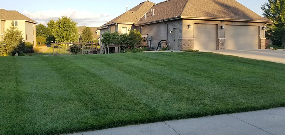Lawn mowing lines on a freshly mowed yard in Sartell, MN.