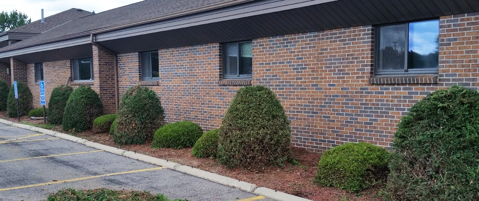 Landscape shrub trimming in front of a commercial building in St. Cloud, MN.