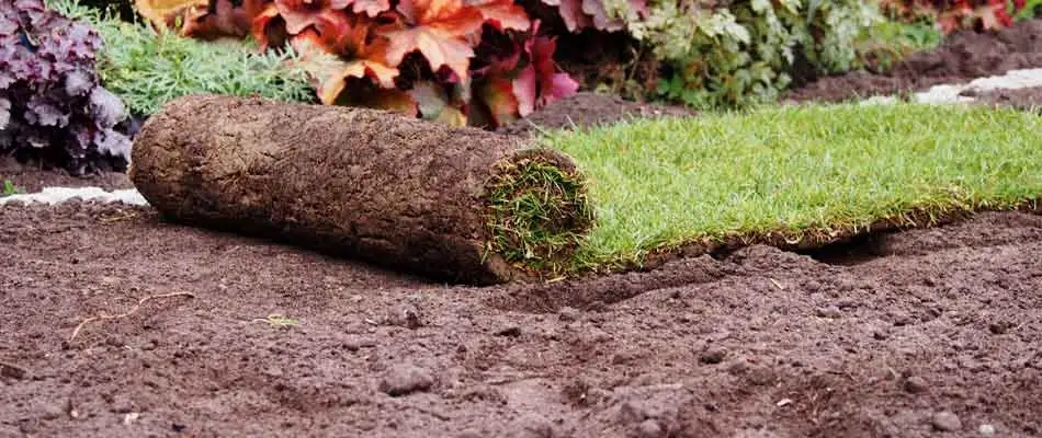 Our team laying new sod at a property in St. Cloud, MN.