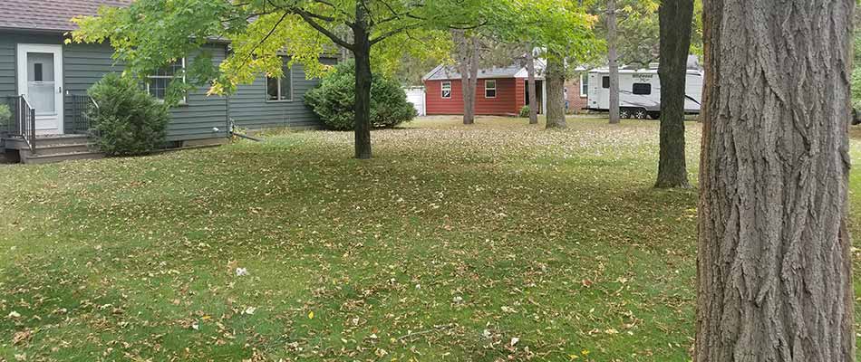Winter Lawn Care Tips for St. Cloud, MN Homeowners