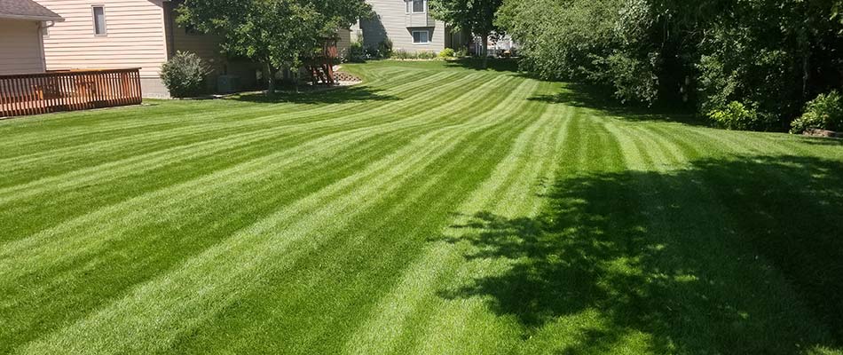 Beautiful, green home lawn after mowing services in Sauk Rapids, MN.