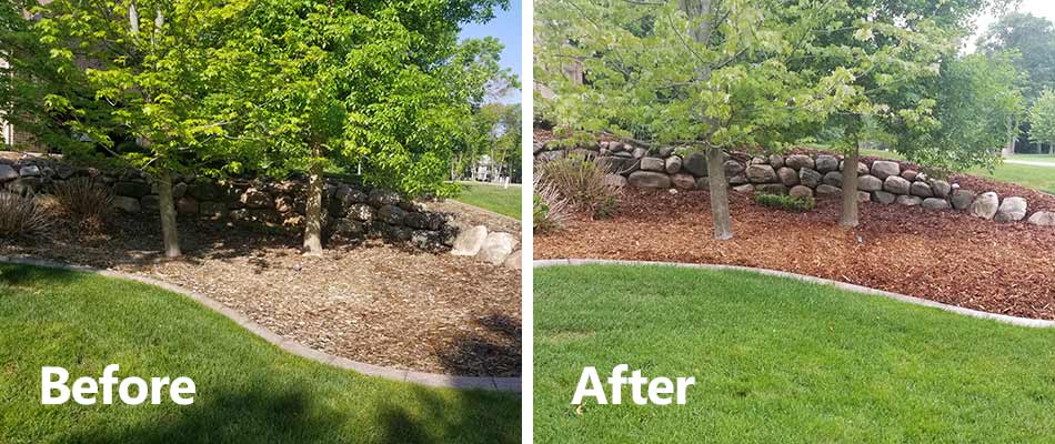 Before and after photos of a mulch bed refresh near Sartell, MN.