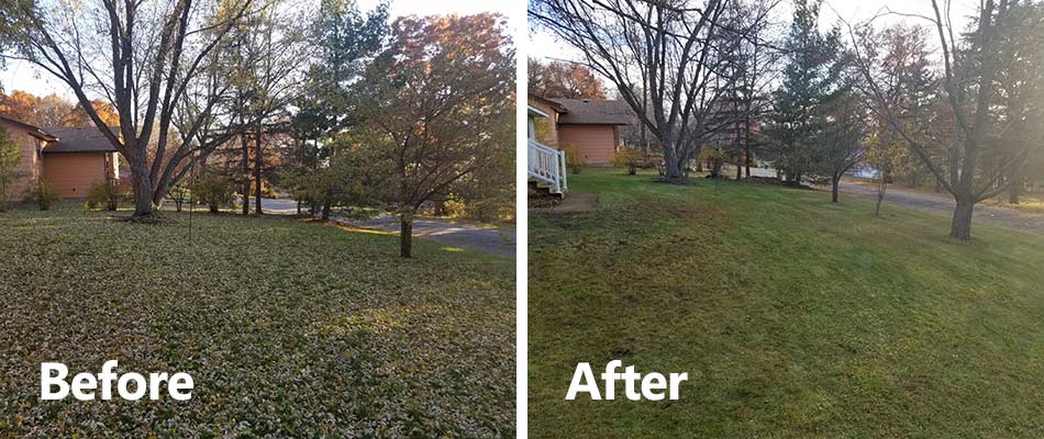 Before and after photos of yard cleanup services in St. Cloud, MN.