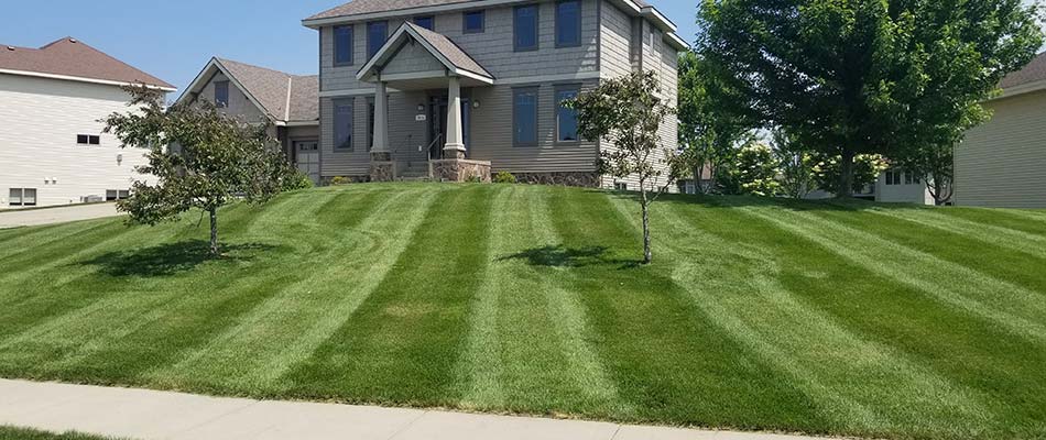 Home lawn mowed near St. Cloud, MN.