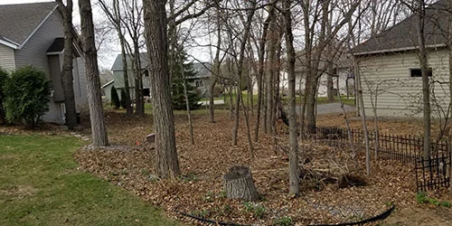 Home in Sartell, MN that needs a fall cleanup with leaf removal service.